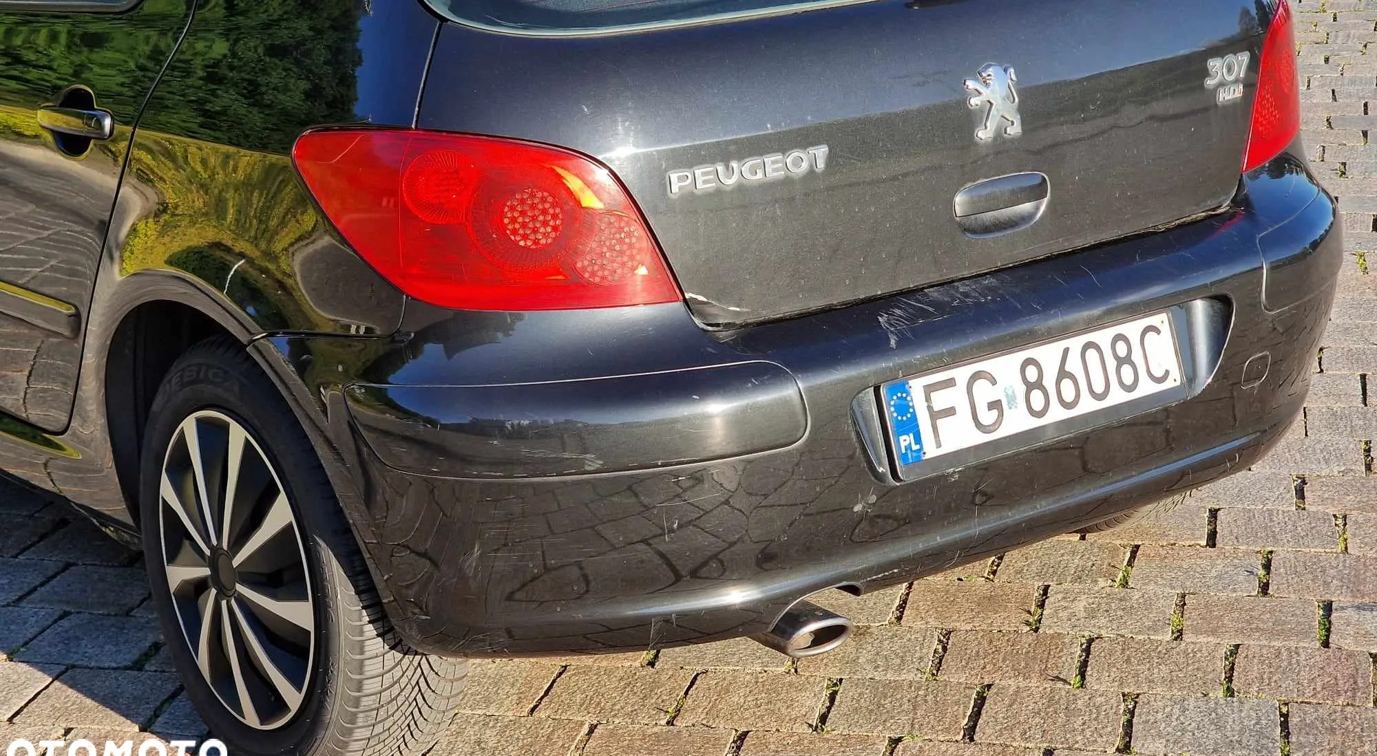 Peugeot 307 cena 12600 przebieg: 273700, rok produkcji 2007 z Człuchów małe 106